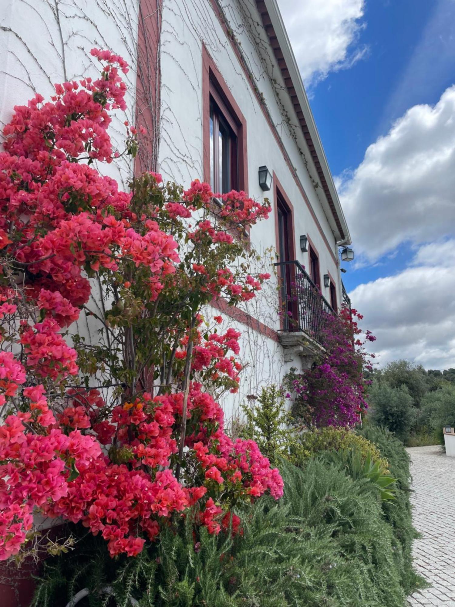 Appartement Quinta Da Asneira à Montemor-o-Novo Extérieur photo