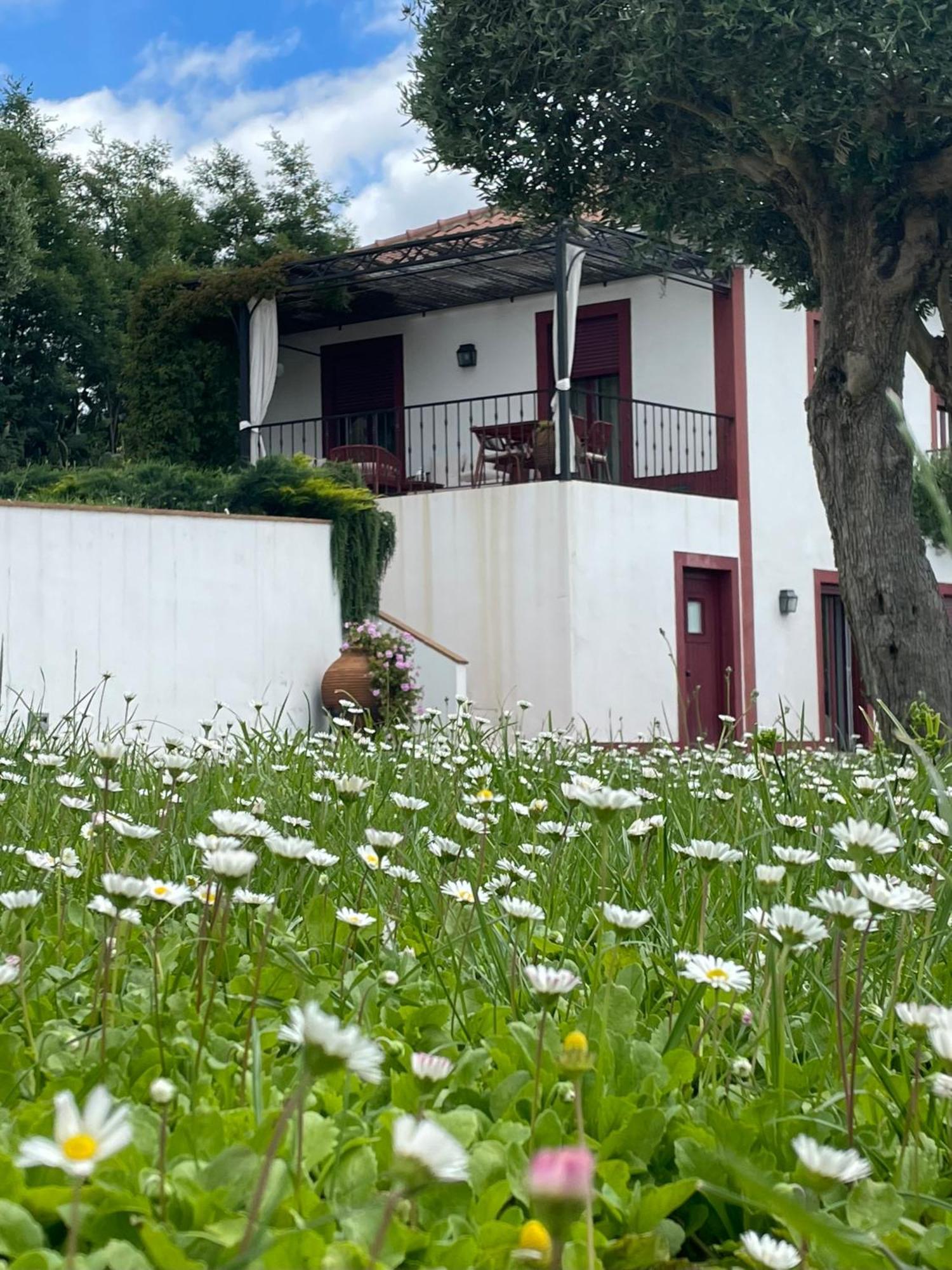 Appartement Quinta Da Asneira à Montemor-o-Novo Extérieur photo