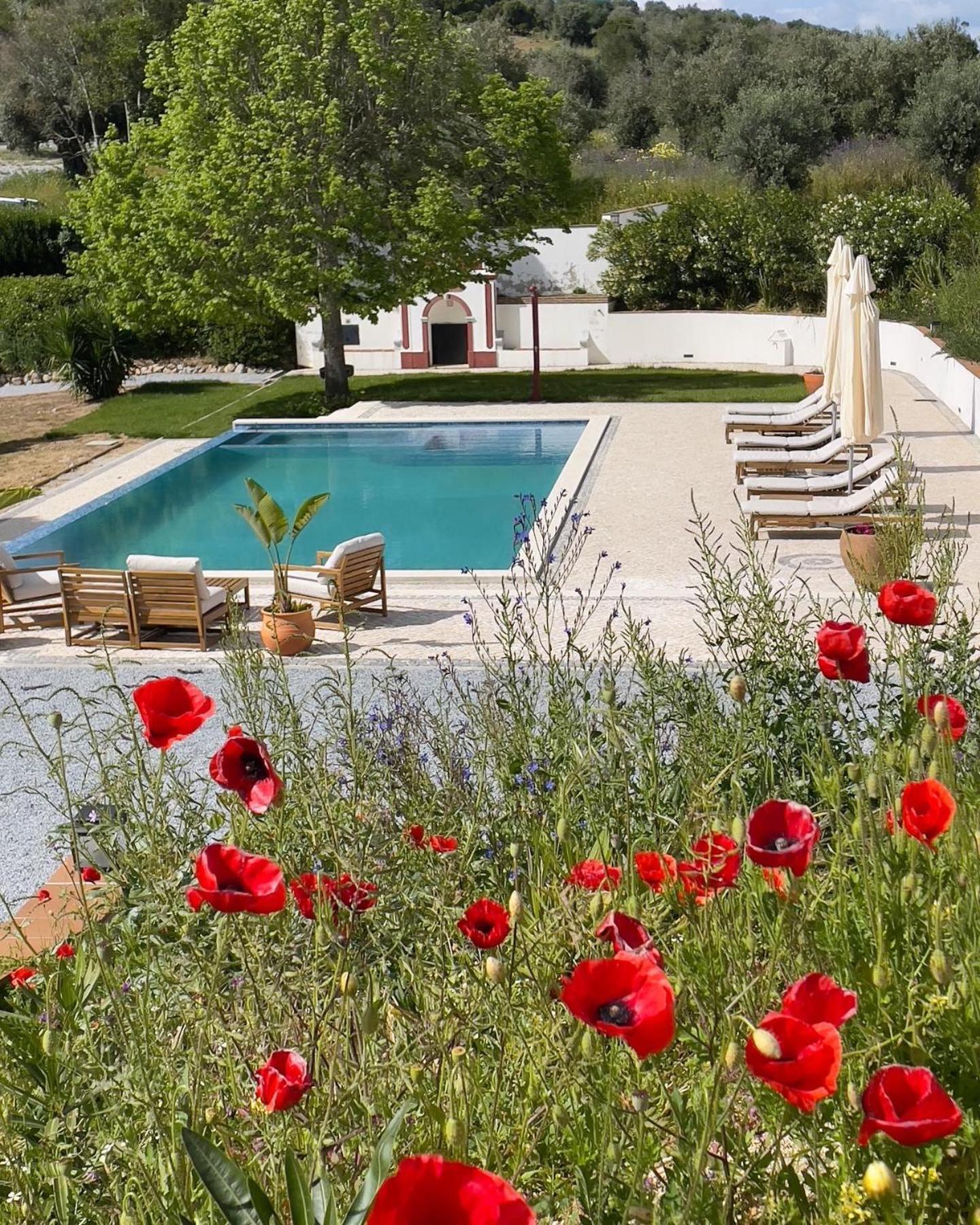 Appartement Quinta Da Asneira à Montemor-o-Novo Extérieur photo