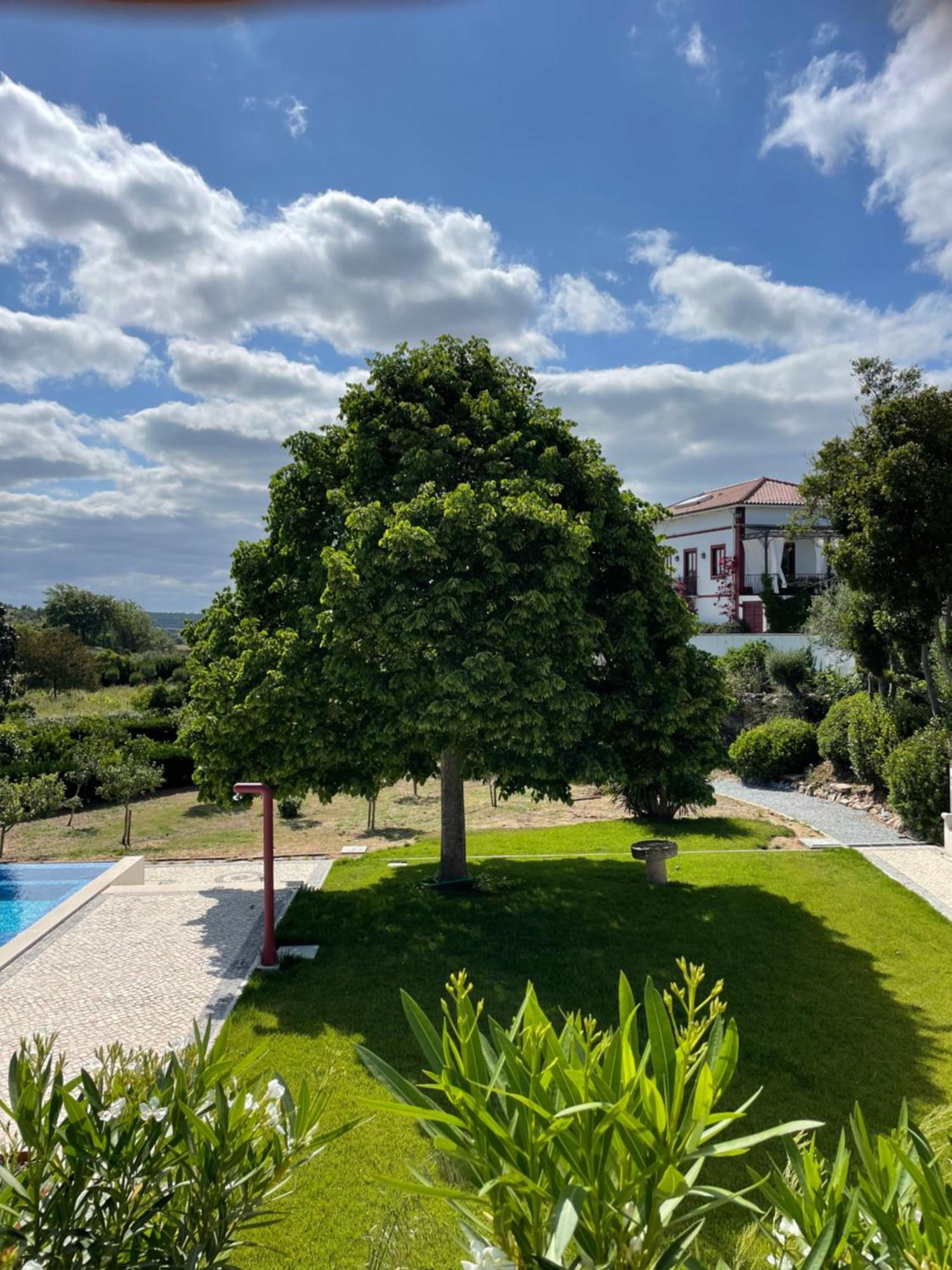 Appartement Quinta Da Asneira à Montemor-o-Novo Extérieur photo
